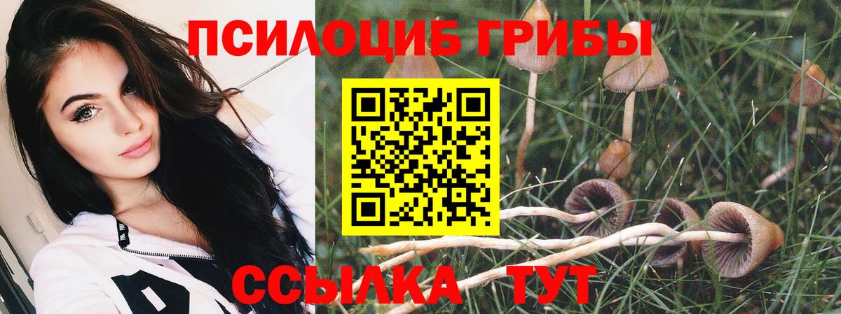 Фролово  Галлюциногенные грибы Psilocybe  Вход с VPN 