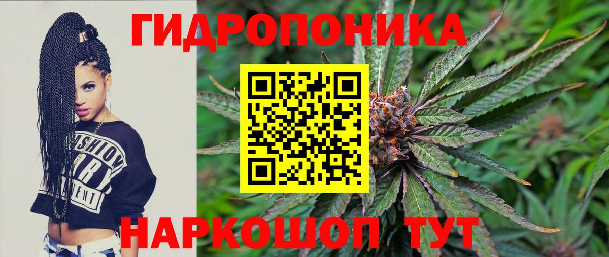 Конопля индика  Шишки марихуана конопля  Вход с VPN  Фролово  Бошки Шишки THC 21% 